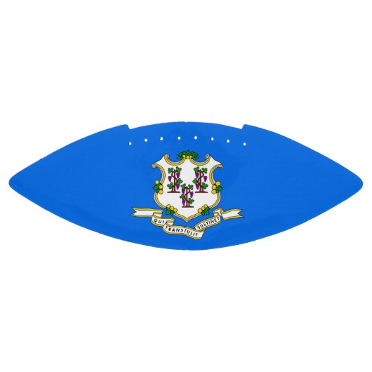 コネチカット旗を持つ愛国的なアメリカンフットボール アメリカンフットボール (パネル)