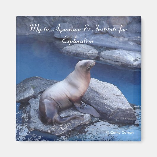 コネチカット磁石 マグネット (正面)