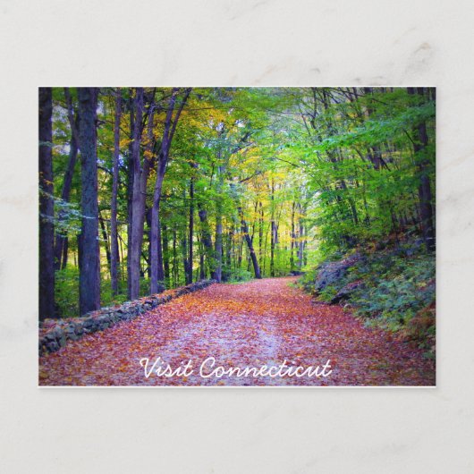 コネチカット葉書の表示 ポストカード (正面)