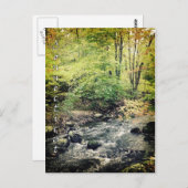 コネチカット葉書 ポストカード (正面/裏面)