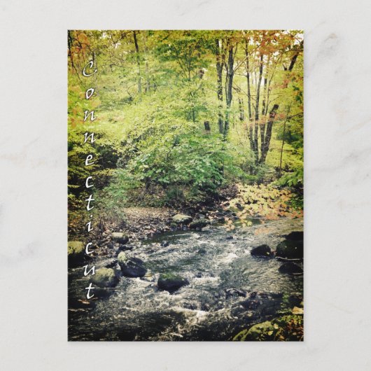 コネチカット葉書 ポストカード (正面)