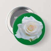 コネチカット魔女体験記念ボタン 缶バッジ (正面&裏面)