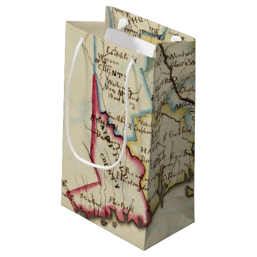 コネチカット11 スモールペーパーバッグ (裏面アングル)