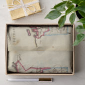 コネチカット11 薄葉紙 (ギフト)