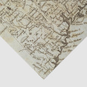 コネチカット7 薄葉紙 (詳細)