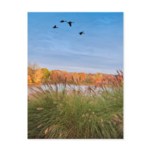 コネチ絵を描カット秋