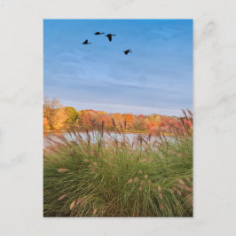 コネチ絵を描カット秋 ポストカード