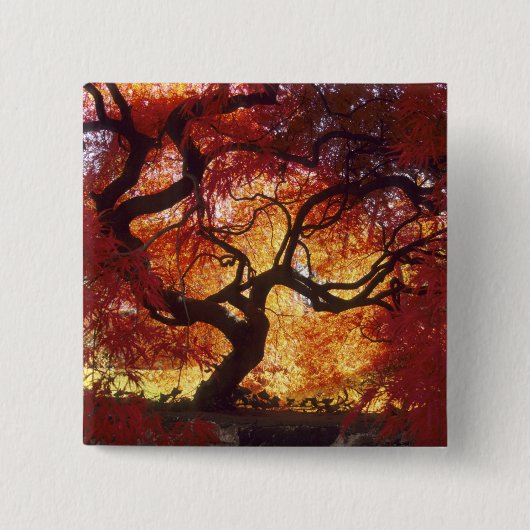 コネティカット:エイサー·ダ日本のリエン 缶バッジ (正面)