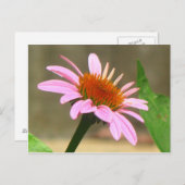 コネフラワ ポストカード (正面/裏面)