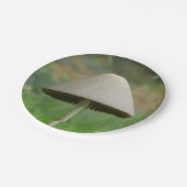 コノシベリケニキノコ紙プレート ペーパープレート (アングル)