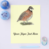 コノハズクのオス チラシ (シングル)