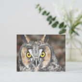 コノハズク ポストカード (スタンド正面)