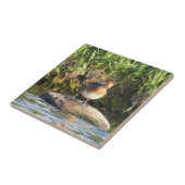 コバシガモ タイル (側面)