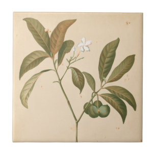 コバルトのDecoのパネルI タイル