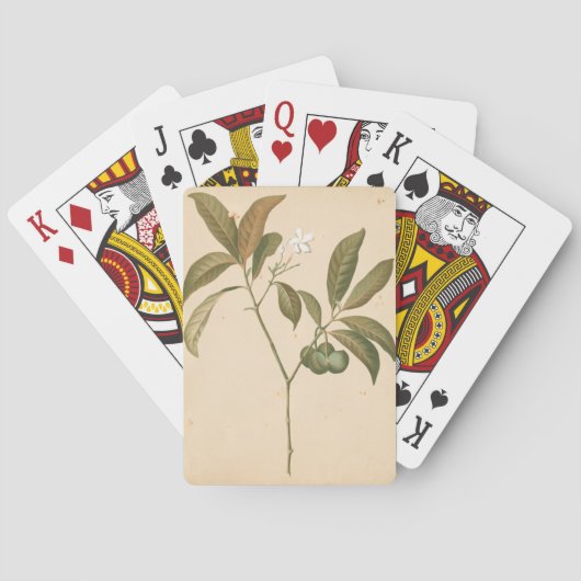 コバルトのDecoのパネルI トランプ (裏面)