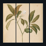 コバルトのDecoのパネルI トリプティカ<br><div class="desc">Chariklia Zarris著コバルトのDecoのパネルI</div>
