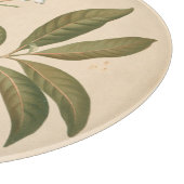 コバルトデコパネルI カッティングボード (角)