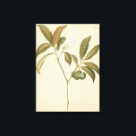 コバルトデコパネルI キャンバスプリント<br><div class="desc">コバルトデコパネルI by Chariklia Zarris</div>