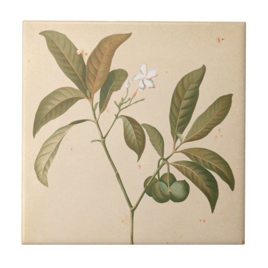 コバルトデコパネルI タイル (正面)