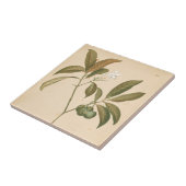 コバルトデコパネルI タイル (側面)