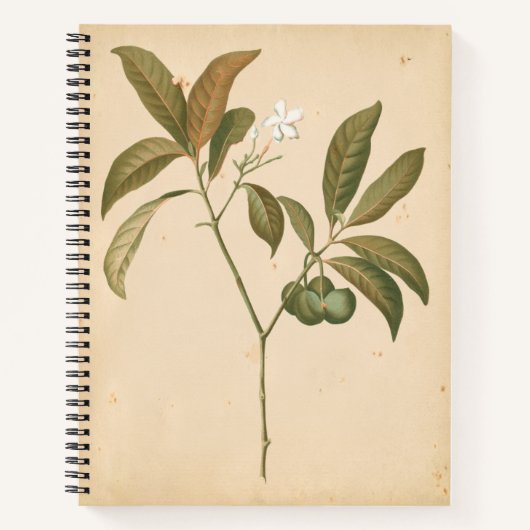 コバルトデコパネルI ノートブック (正面)