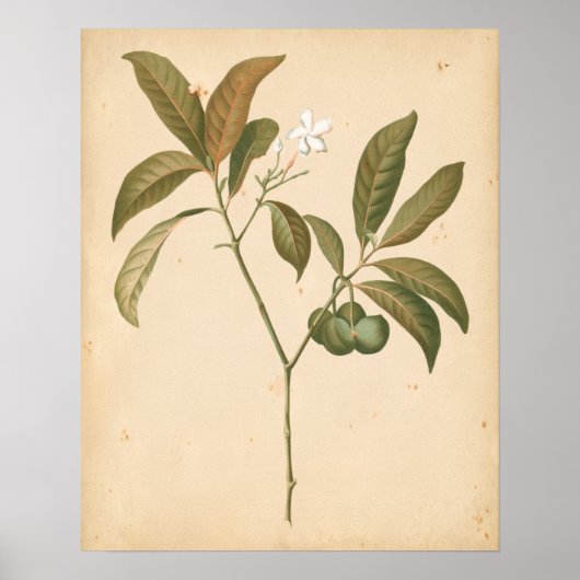 コバルトデコパネルI ポスター (正面)