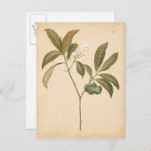 コバルトデコパネルI ポストカード (正面/裏面)