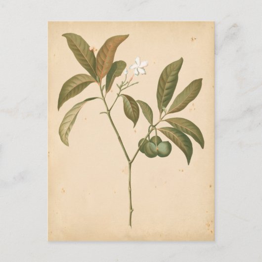 コバルトデコパネルI ポストカード (正面)