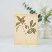 コバルトデコパネルI ポストカード (スタンド正面)