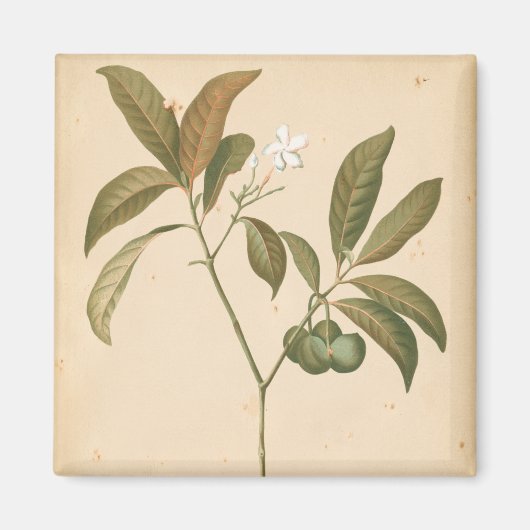 コバルトデコパネルI マグネット (正面)