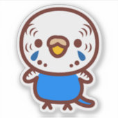 コバルトブルーのセキセイインコ メス シール (正面)