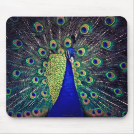 コバルトブルークジャク マウスパッド