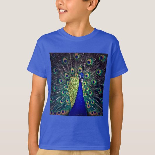 コバルトブルークジャク Tシャツ (正面)