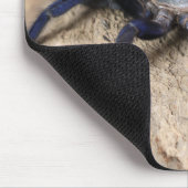 コバルトブルータランチュラクモ マウスパッド (コーナー)