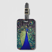 コバルトブルーピーコック ラゲッジタグ (正面縦)