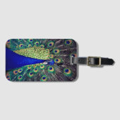 コバルトブルーピーコック ラゲッジタグ (正面横)
