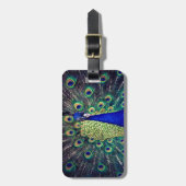 コバルトブルーピーコック ラゲッジタグ (正面縦)