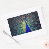 コバルトブルーピーコック 長方形シール (封筒)