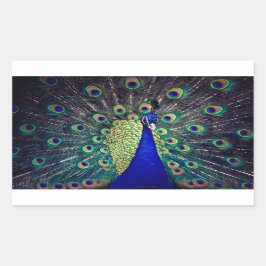 コバルトブルーピーコック 長方形シール