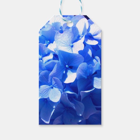コバルトブルーフローラエレガントブルーアジサイ ギフトタグ (正面)