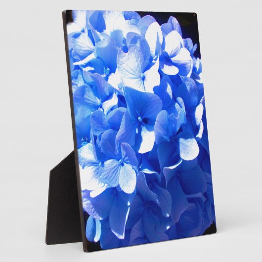コバルトブルーフローラエレガントブルーアジサイ フォトプラーク (側面)