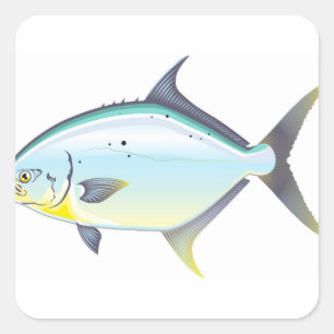 コバンアジのフロリダの魚のベクトルイラストレーション スクエアシール