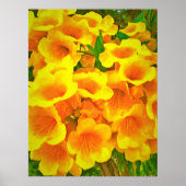 コパデオロアートプリント ポスター (正面)