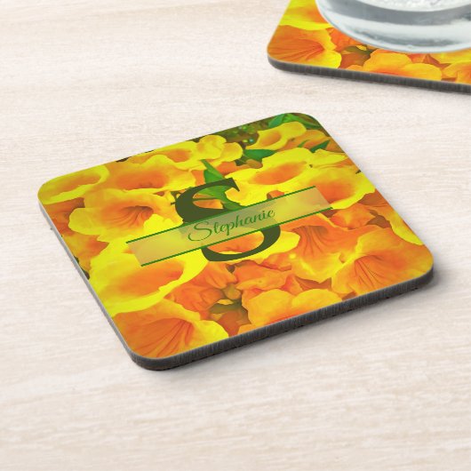 コパデオロ コースター (左側)