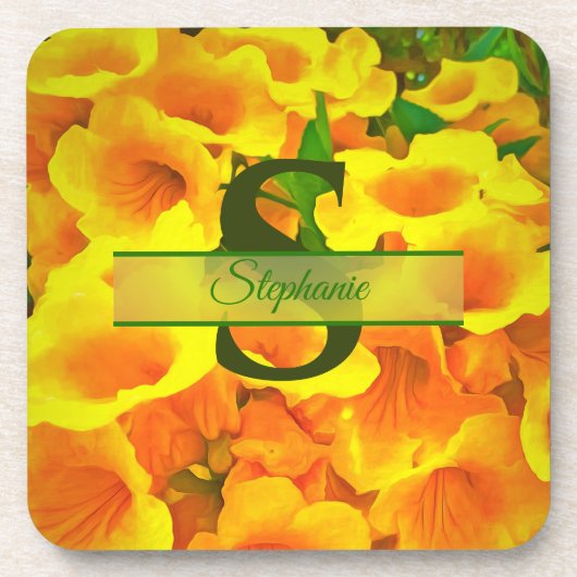 コパデオロ コースター (正面)