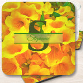 コパデオロ コースター