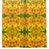 コパデオロ シャワーカーテン (正面)