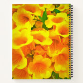 コパデオロ ノートブック (裏面)