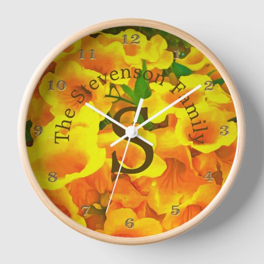 コパデオロ 壁時計 (正面)