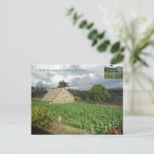 コヒバ・バイクス? ポストカード (スタンド正面)